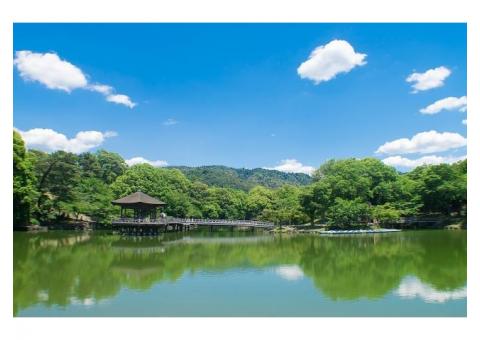 【ご近所さん歓迎】奈良県奈良市高畑町の浮見堂の中継