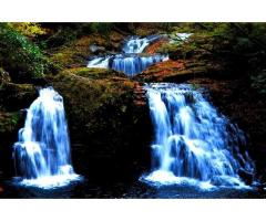 【ご近所さん歓迎】三重県名張市赤目町長坂の赤目四十八滝の中継