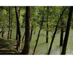 【ご近所さん歓迎】長野県木曽郡王滝村の自然湖の中継