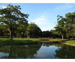 【ご近所さん歓迎】東京都渋谷区代々木神園町の代々木公園の中継