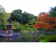 【ご近所さん歓迎】東京都文京区本駒込六丁目の六義園の中継