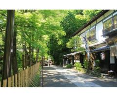 【ご近所さん歓迎】東京都調布市の深大寺の中継