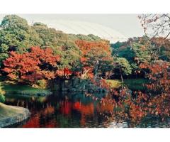 【ご近所さん歓迎】東京都文京区後楽１丁目の小石川後楽園の中継