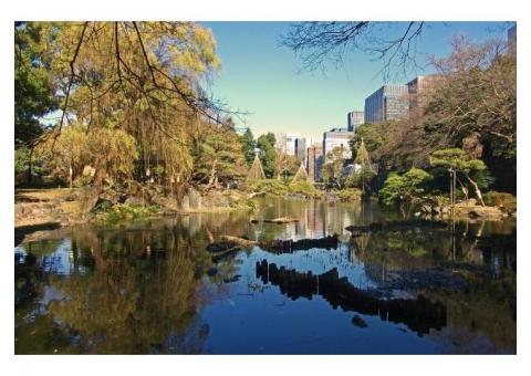 【ご近所さん歓迎】 東京都千代田区の日比谷公園の中継