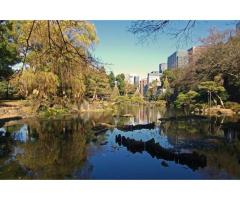 【ご近所さん歓迎】 東京都千代田区の日比谷公園の中継