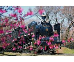 【ご近所さん歓迎】東京都小金井市関野町の小金井公園の中継