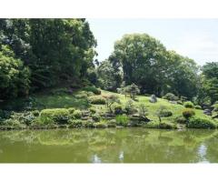 【ご近所さん歓迎】東京都江東区の清澄庭園の中継