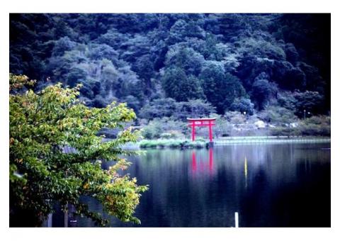 【ご近所さん歓迎】千葉県君津市川俣旧川俣の亀山湖の中継