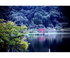 【ご近所さん歓迎】千葉県君津市川俣旧川俣の亀山湖の中継