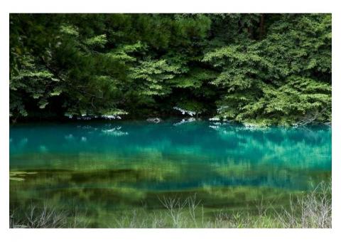 【ご近所さん歓迎】福島県耶麻郡北塩原村の裏磐梯の中継