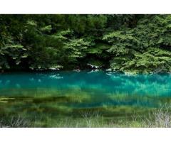 【ご近所さん歓迎】福島県耶麻郡北塩原村の裏磐梯の中継