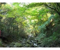 【ご近所さん歓迎】大阪府泉佐野市大木の犬鳴山の体験共有