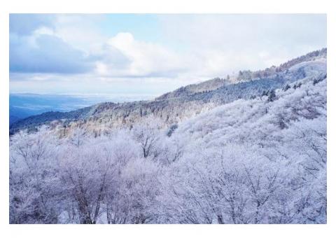 【ご近所さん歓迎】奈良県御所市高天の金剛山の体験共有