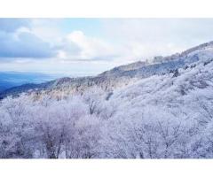 【ご近所さん歓迎】奈良県御所市高天の金剛山の体験共有