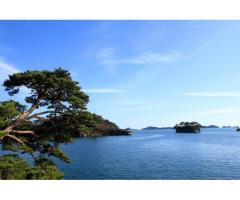 【ご近所さん歓迎】宮城県宮城郡松島町の松島湾の体験共有