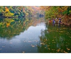 【ご近所さん歓迎】 神奈川県秦野市今泉の震生湖 の体験共有