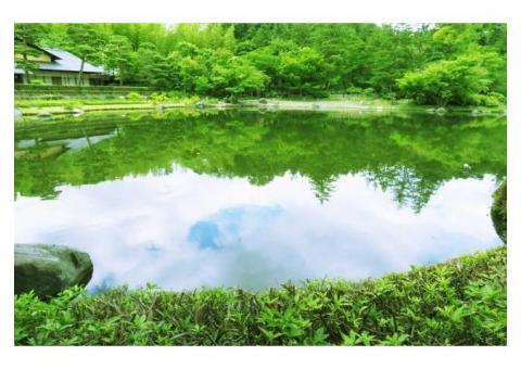 【ご近所さん歓迎】東京都立川市緑町の昭和記念公園の体験共有