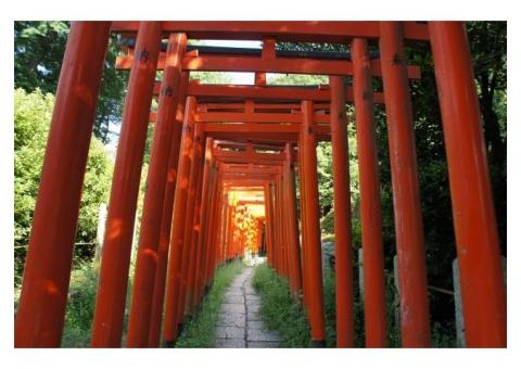 【ご近所さん歓迎】東京都文京区根津の根津神社の体験共有