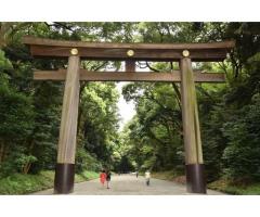 【ご近所さん歓迎】 東京都渋谷区代々木神園町の明治神宮の体験共有