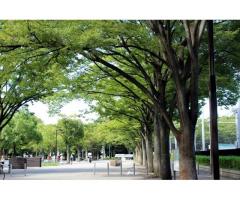 【ご近所さん歓迎】 東京都渋谷区代々木神園町の代々木公園の体験共有