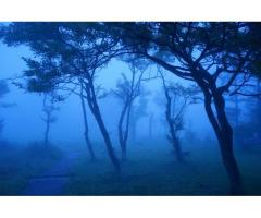 【ご近所さん歓迎】 群馬県高崎市榛名湖町の榛名湖畔の体験共有