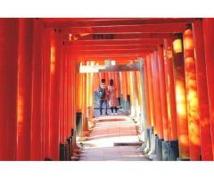 【ご近所さん歓迎】 京都府京都市伏見区の伏見稲荷神社の体験共有