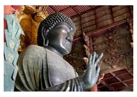 【ご近所さん歓迎】奈良県奈良市雑司町の東大寺の体験共有
