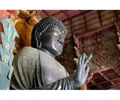 【ご近所さん歓迎】奈良県奈良市雑司町の東大寺の体験共有