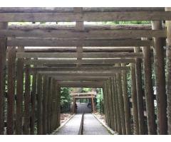 【ご近所さん歓迎】滋賀県東近江市小脇町の阿賀神社の体験共有