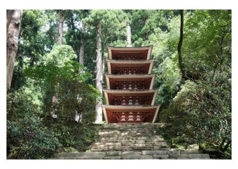 【ご近所さん歓迎】 奈良県宇陀市室生の室生寺の体験共有