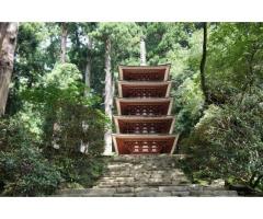 【ご近所さん歓迎】 奈良県宇陀市室生の室生寺の体験共有