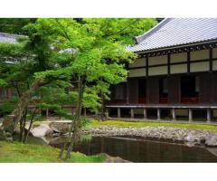 【ご近所さん歓迎】神奈川県鎌倉市山ノ内の円覚寺の体験共有