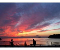 【ご近所さん歓迎】神奈川県逗子市の逗子海岸の体験共有