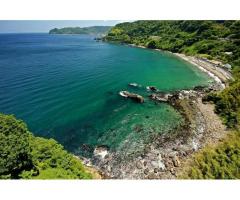 【ご近所さん歓迎】静岡県熱海市 熱海の錦ヶ浦の体験共有