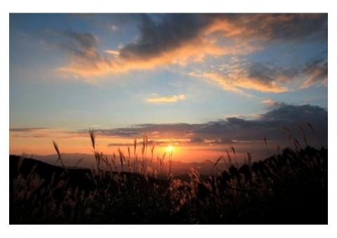 【ご近所さん歓迎】静岡県田方郡函南町桑原の十国峠の体験共有