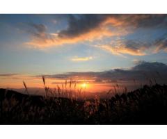 【ご近所さん歓迎】静岡県田方郡函南町桑原の十国峠の体験共有