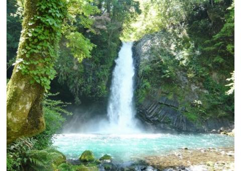 【ご近所さん歓迎】静岡県伊豆市湯ヶ島の浄蓮の滝の体験共有