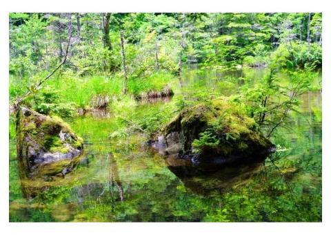 【ご近所さん歓迎】長野県松本市の明神池の体験共有