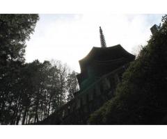 【ご近所さん歓迎】長野県上田市別所温泉の安楽寺の体験共有