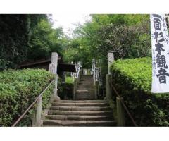 【ご近所さん歓迎】神奈川県鎌倉市二階堂の杉本寺の体験共有