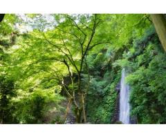 【ご近所さん歓迎】岐阜県養老郡養老町高林の養老の滝の体験共有