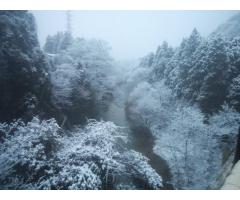 【ご近所さん歓迎】石川県加賀市山中温泉下谷町の鶴仙渓の体験共有