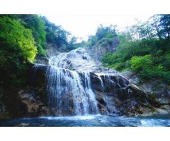 【ご近所さん歓迎】石川県白山市中宮の姥ヶ滝の体験共有