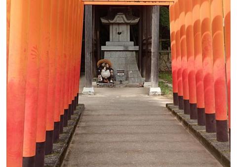 【ご近所さん歓迎】  香川県高松市屋島東町の屋島寺の体験共有