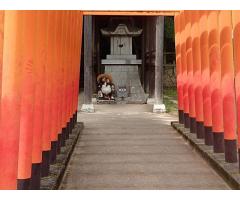 【ご近所さん歓迎】  香川県高松市屋島東町の屋島寺の体験共有