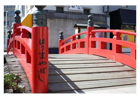 【ご近所さん歓迎】 高知県高知市はりまや町のはりまや橋の体験共有