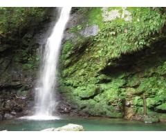 【ご近所さん歓迎】 徳島県三好市西祖谷山村善徳の祖谷峡琵琶の滝の体験共有