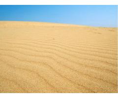 【ご近所さん歓迎】鳥取県鳥取市福部町湯山の鳥取砂丘の体験共有