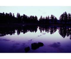 【ご近所さん歓迎】 岩手県西磐井郡平泉町平泉大沢の毛越寺の体験共有