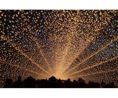 【ご近所さん歓迎】三重県桑名市長島町駒江漆畑のなばなの里の体験共有